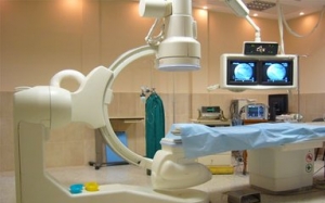 I_չˎƷt(y)е(xing)z鹤