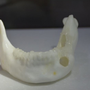 t(y)W(xu)cMt(y)a(chn)Ʒu\@˼