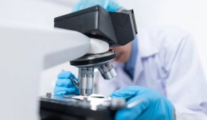 2023(sh)(j)ȫl(f)չ(hu)