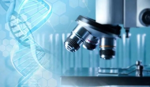 ��(chu��ng)���t(y��)��δ��������