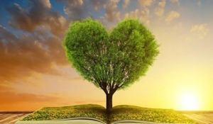 ��(li��n)�W(w��ng)�t(y��)����ؕ�I(xi��n)