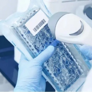 2024ڇHt(y)еչ[(hu)