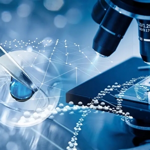 2024ϺHt(y)еչ[(hu)