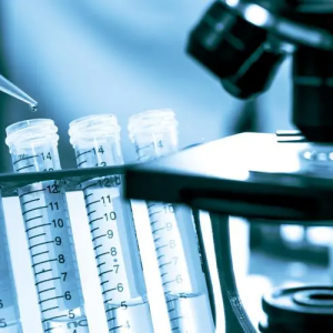 (gu)(ni)t(y)еI(y)Ҏ(gu)ģͬL(zhng)10%