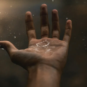 t(y)(w)ИI(y)ӭvʷ԰l(f)չC(j)